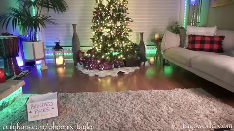phoenix_taylor  13-12-2022